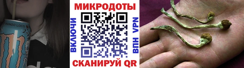 где купить   МЕГА онион  Псилоцибиновые грибы GOLDEN TEACHER  Кувшиново 